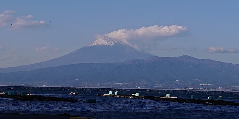 fuzi Image